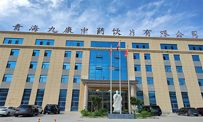 青海九康中药饮片有限公司
